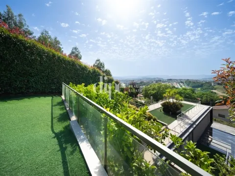 img_25
