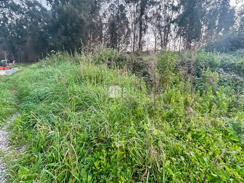 Piece of Real Estate