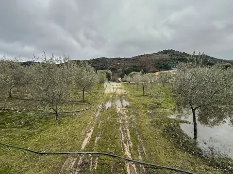 Terreno 5860m² - Pinheiros