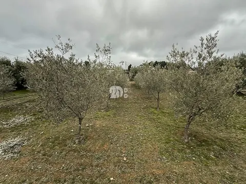 Terreno 5860m² - Pinheiros