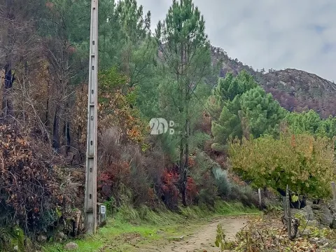 Terreno 7009m² - Távora