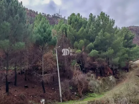 Terreno 7009m² - Távora