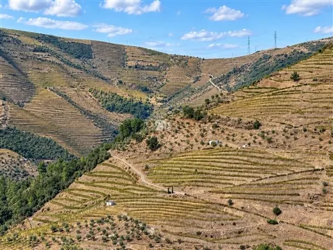 Quinta 10Ha - Douro