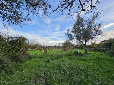 Moradia em pedra para reabilitar com grande potencial em Mourel, Carvalhais