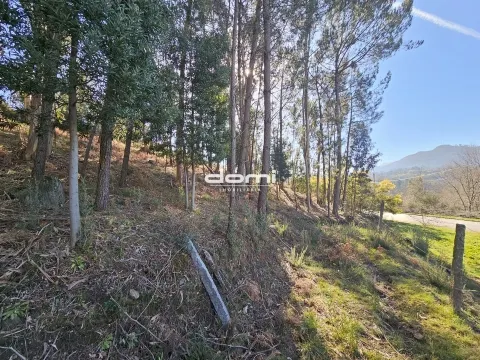 🌿 Terreno com Viabilidade de Construção, nas Termas - São Pedro do Sul
