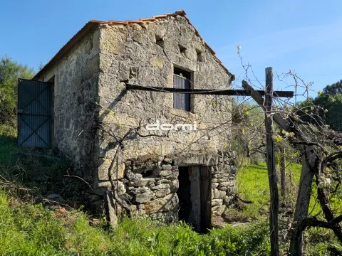🌿 Terreno Rústico em São João da Serra 🌿