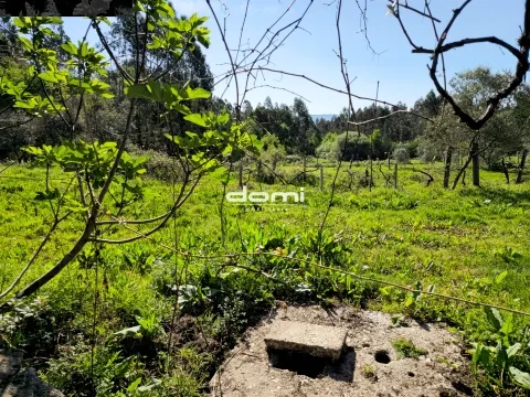 🌿 Terreno Rústico em São João da Serra 🌿
