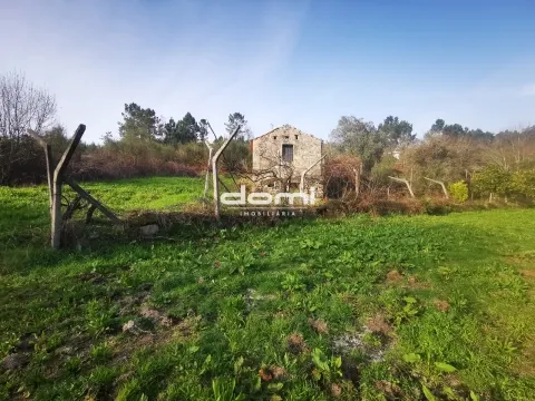 🌿 Terreno Rústico em São João da Serra 🌿