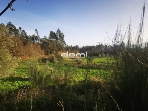🌿 Terreno Rústico em São João da Serra 🌿