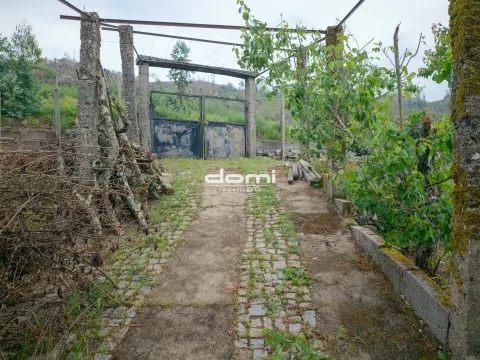 Detached house T5