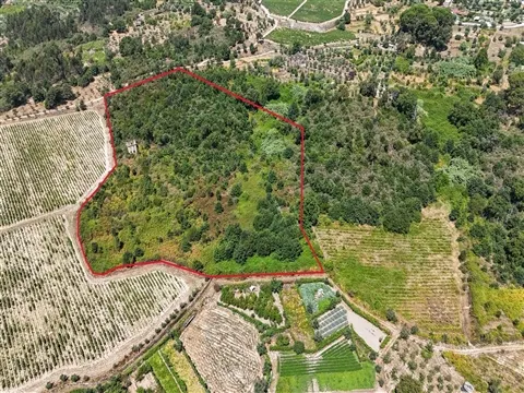 Landgrundstück