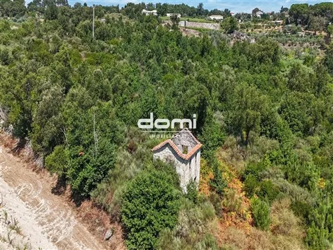 🌿 24.000 m² de potencial para o seu projeto agrícola