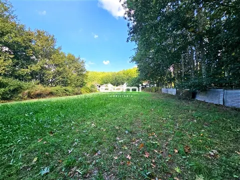 Rustico Terreno