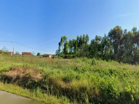 Venda Conjunta de 2 Terrenos