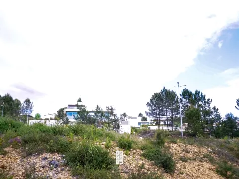 Terreno Urbano
