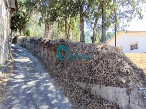 Terreno para construção, Sanguedo, Santa Maria da Feira - 70.000,00€