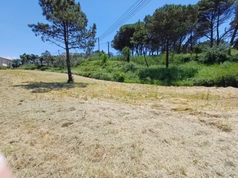 Городской участок