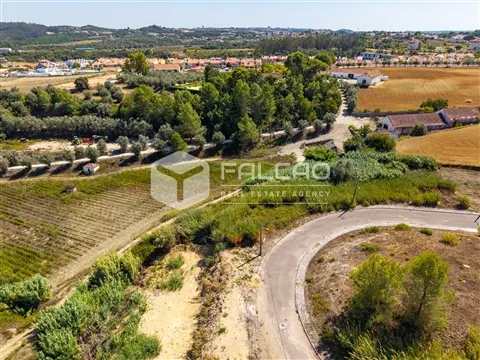 img_17