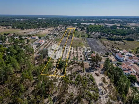 Moradia para Restaurar T6