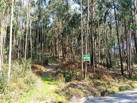 terreno caminha - santo antão