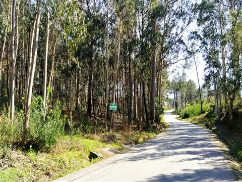 terreno caminha - santo antão