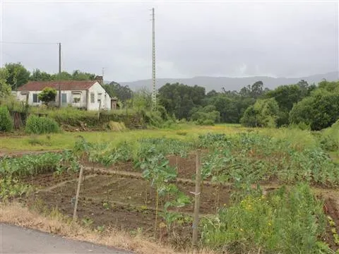 Lote de Terreno