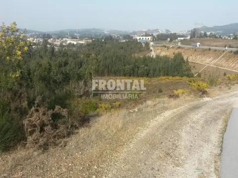 Terreno Industrial - 9.999 m² | Zona Industrial de Campo, Valongo