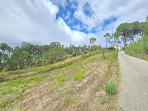 O SEU FUTURO ALOJAMENTO LOCAL &#124; SALTADOURO