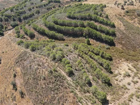 Terrain rural