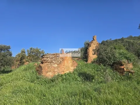 Terreno Rústico