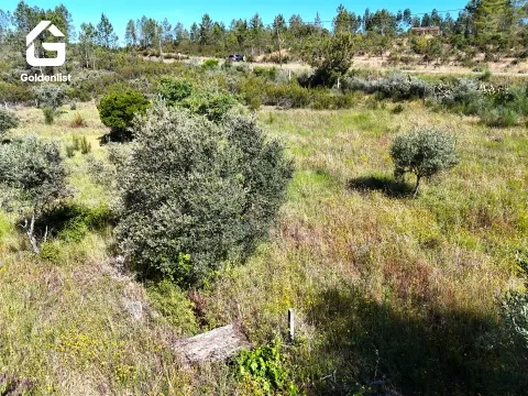 Quinta