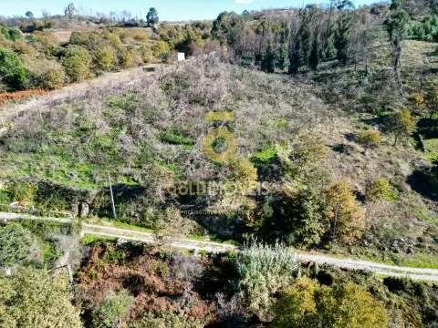 Terreno Rústico