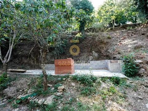 Terrain rural