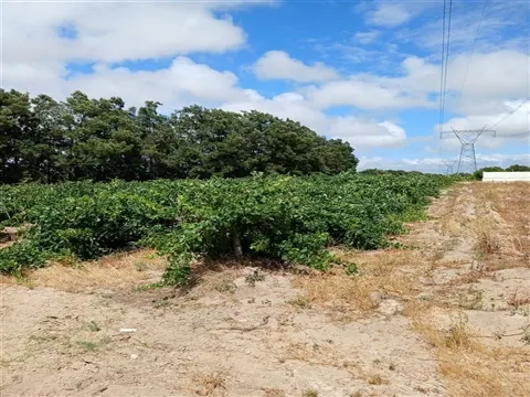 Terreno