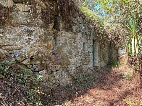 Vivienda 1 habitación