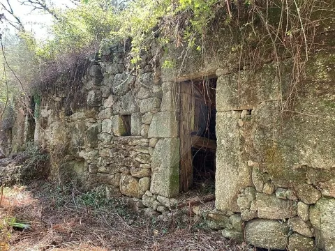 Vivienda 1 habitación