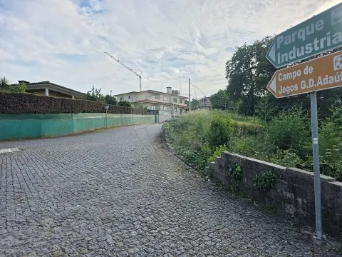 img_5
