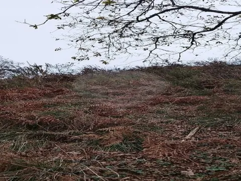 Terreno  para venda