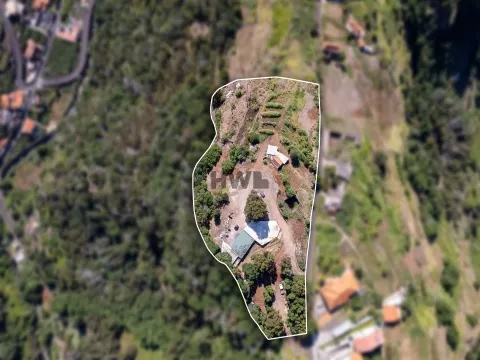 Real Estate building