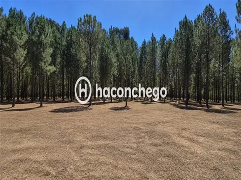Real estate land