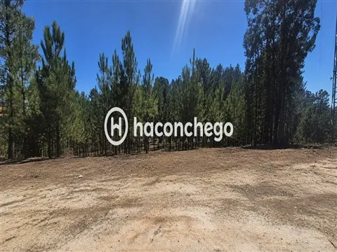 Real estate land