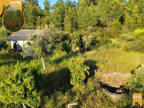  Rustic Land of 16,800m² – Building, Well, Vineyard, Orchard and Olive Grove