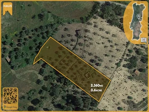 Terreno Rústico de 2.400 m² – 30m2 Ruína, Poço em Pedra, Olival