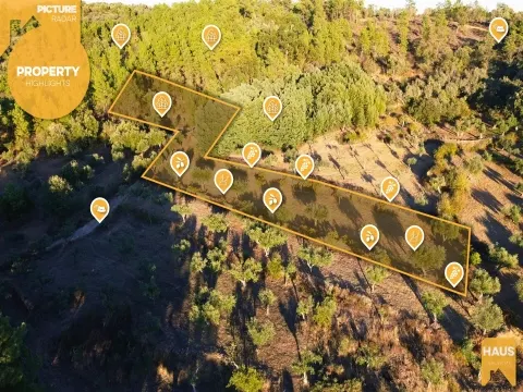 Rustic Land of 2,900 m² in Juncal do Campo – Castelo Branco