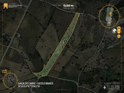 Oasis avec Ruine en Pierre et 3 Puits | Juncal do Campo