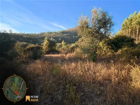 Refúgio do Vale: Terreno Plano Off-Grid | Castelo Branco