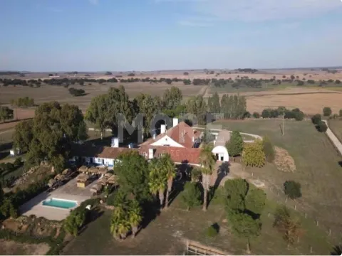 Hôtel >=10 Chambre(s)