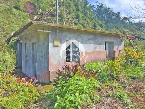 Moradia + 2 Palheiros com uma área total de 3070m2