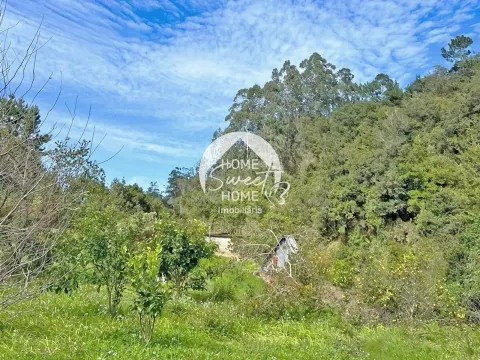 Moradia + 2 Palheiros com uma área total de 3070m2