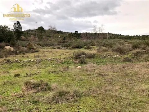 Outro Tipo